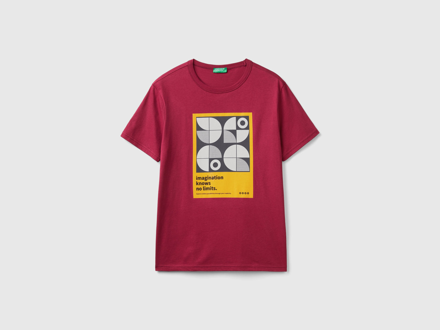 T-shirt regular fit in cotone bio da uomo prugna | Benetton Outlet
