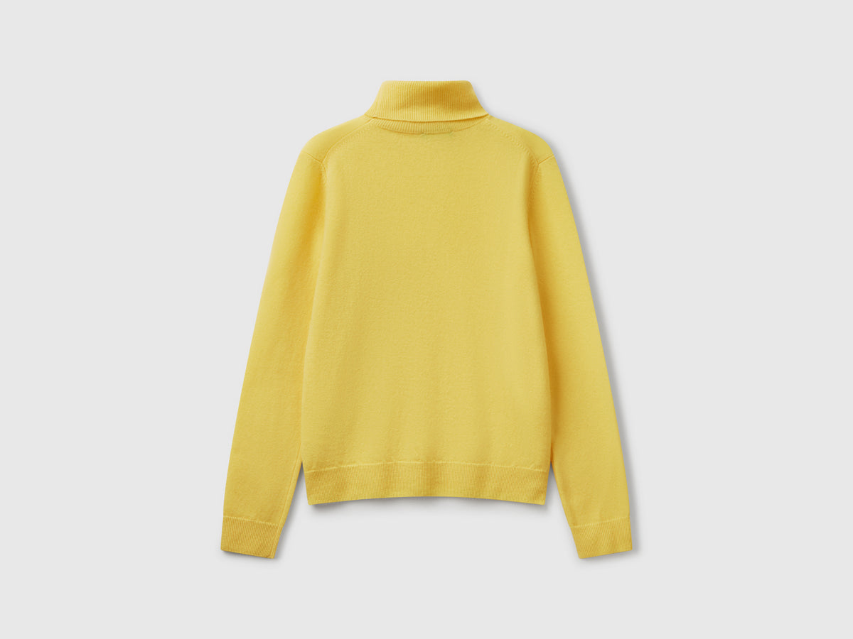Pure Merino Wool Turtleneck Sweater