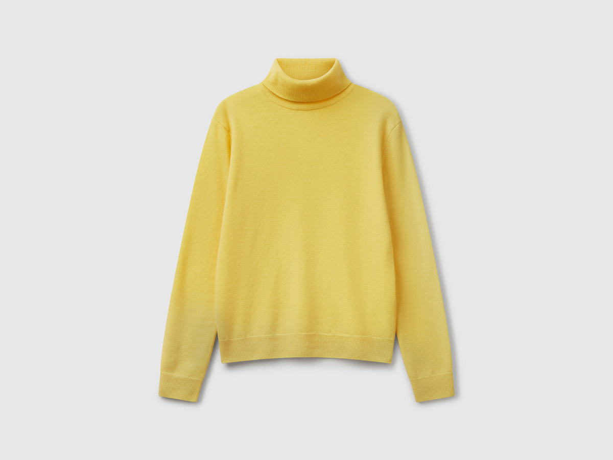 Pure Merino Wool Turtleneck Sweater