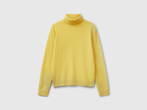 Pure Merino Wool Turtleneck Sweater