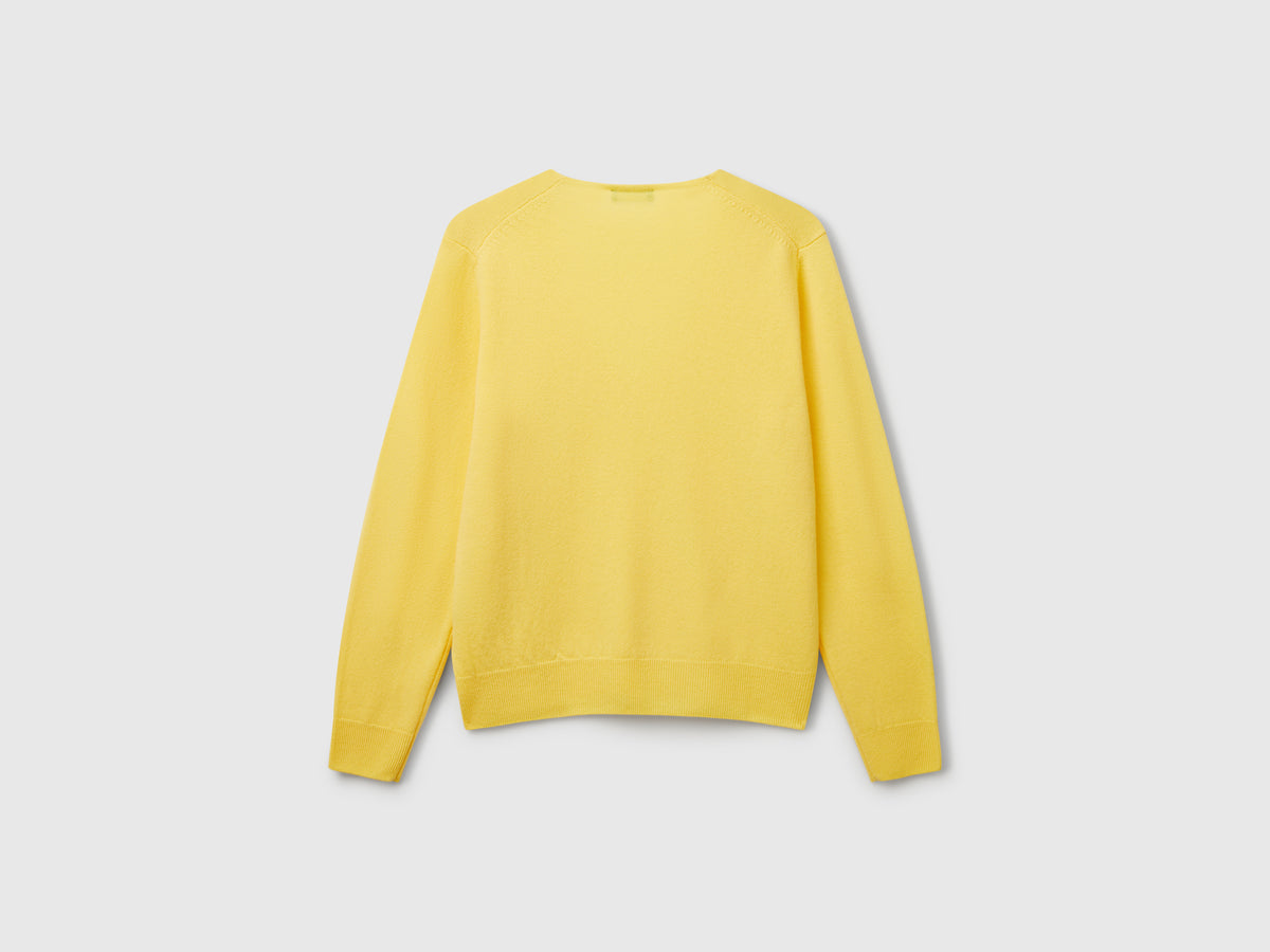 Pure Merino Wool V-Neck Sweater