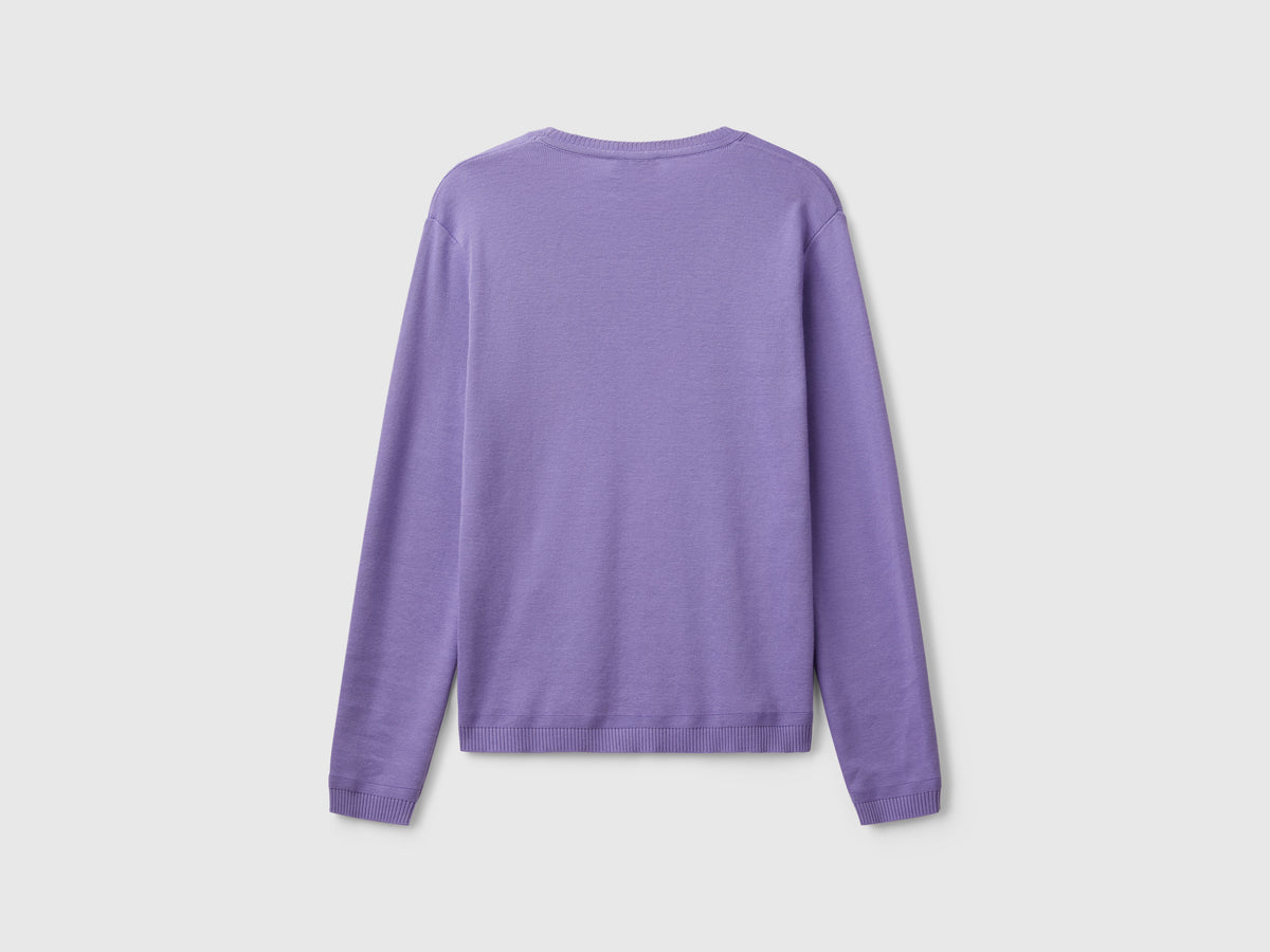 Crew neck sweater in pure cotton