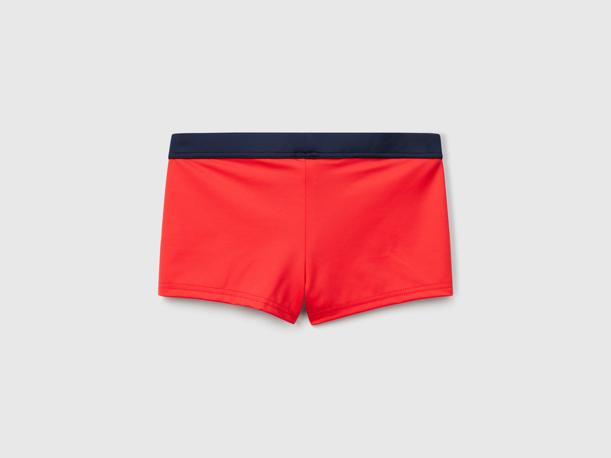 Boxer mare