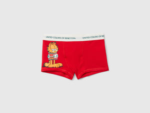 Boxer Garfield ©2024 by Paws, Inc.