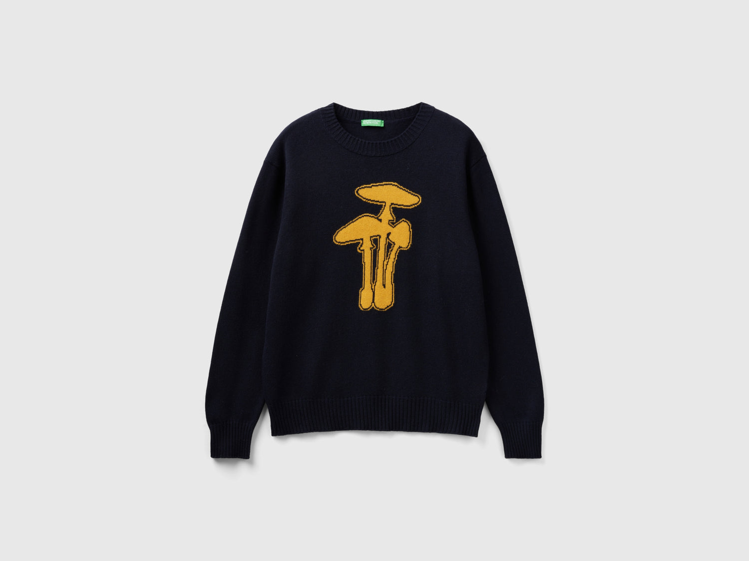 Maglia con intarsio fungo da uomo blu scuro | Benetton Outlet