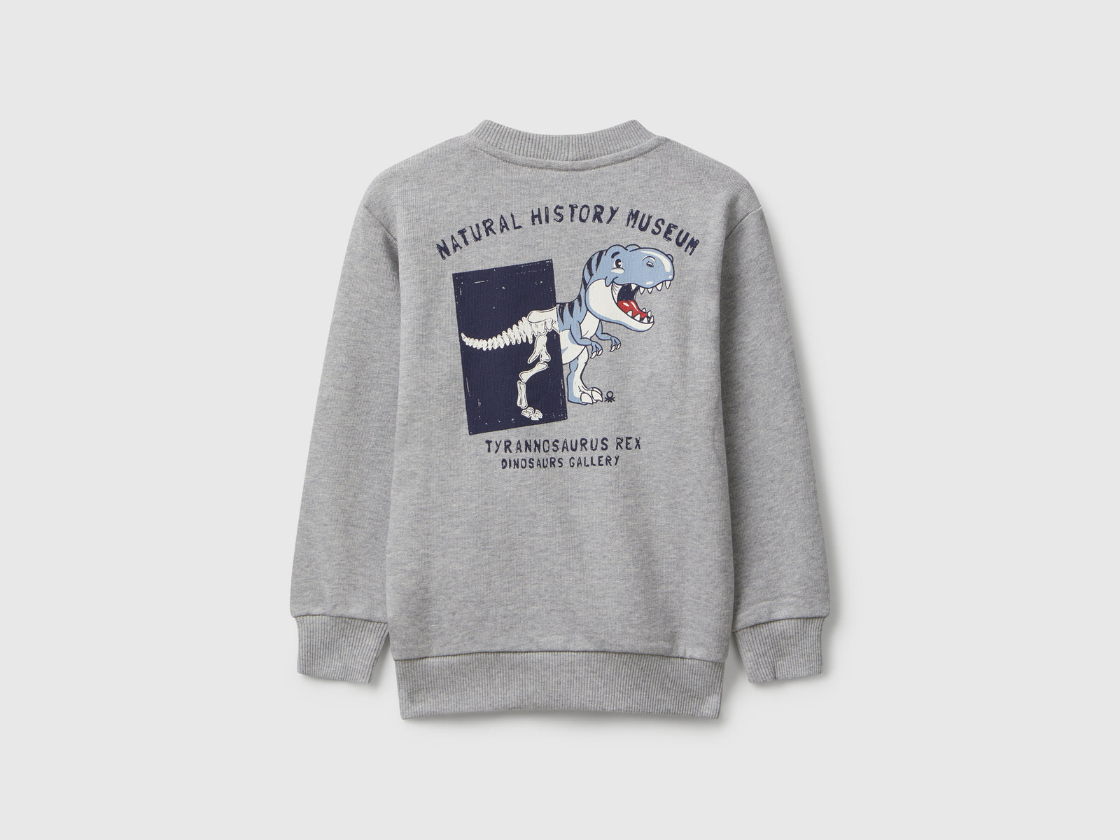 Felpa manica lunga con stampa da bimbo grigio chiaro 2 | Benetton Outlet