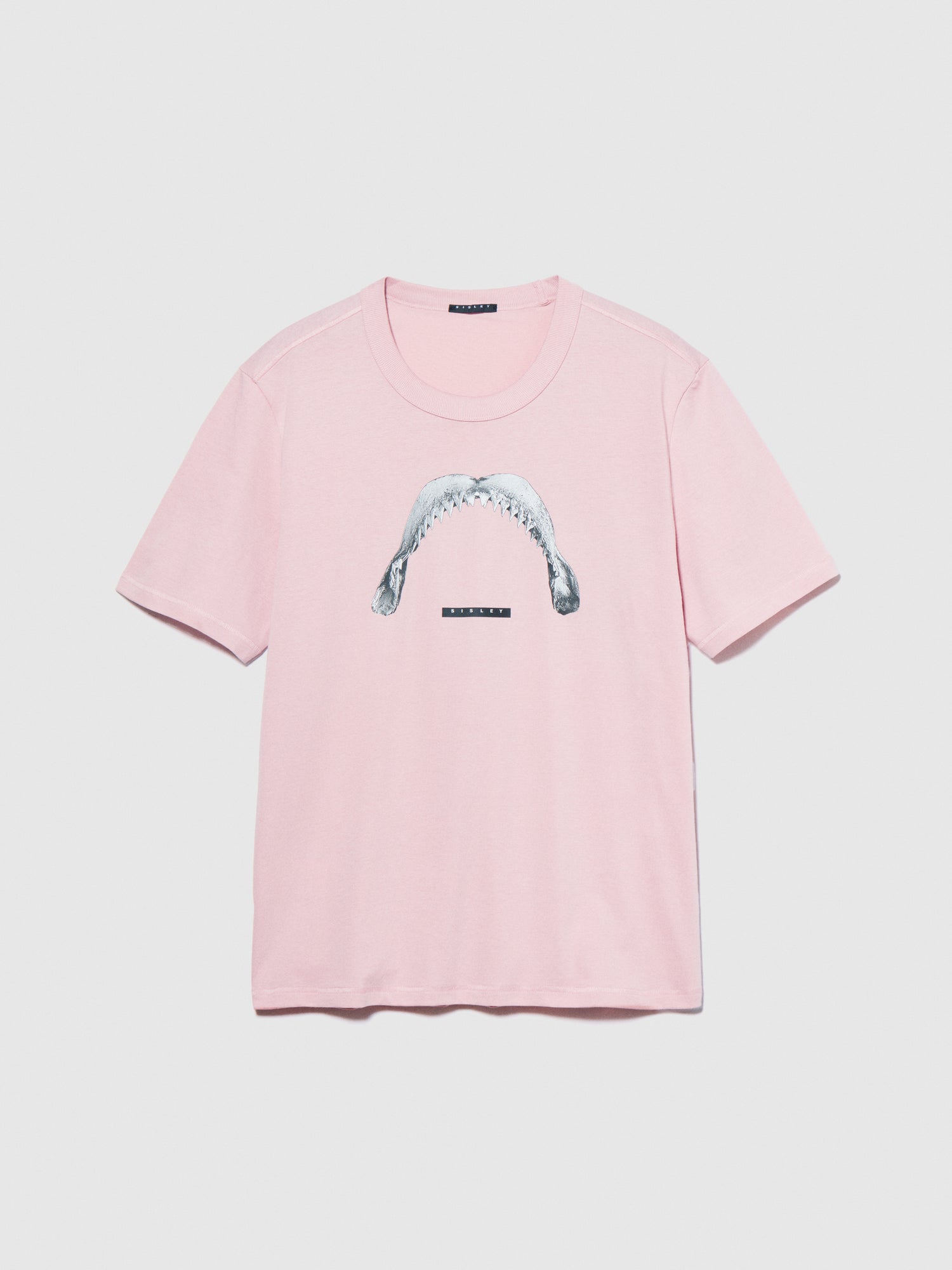 T-shirt regular fit con stampa da uomo rosa pastello | Sisley Outlet