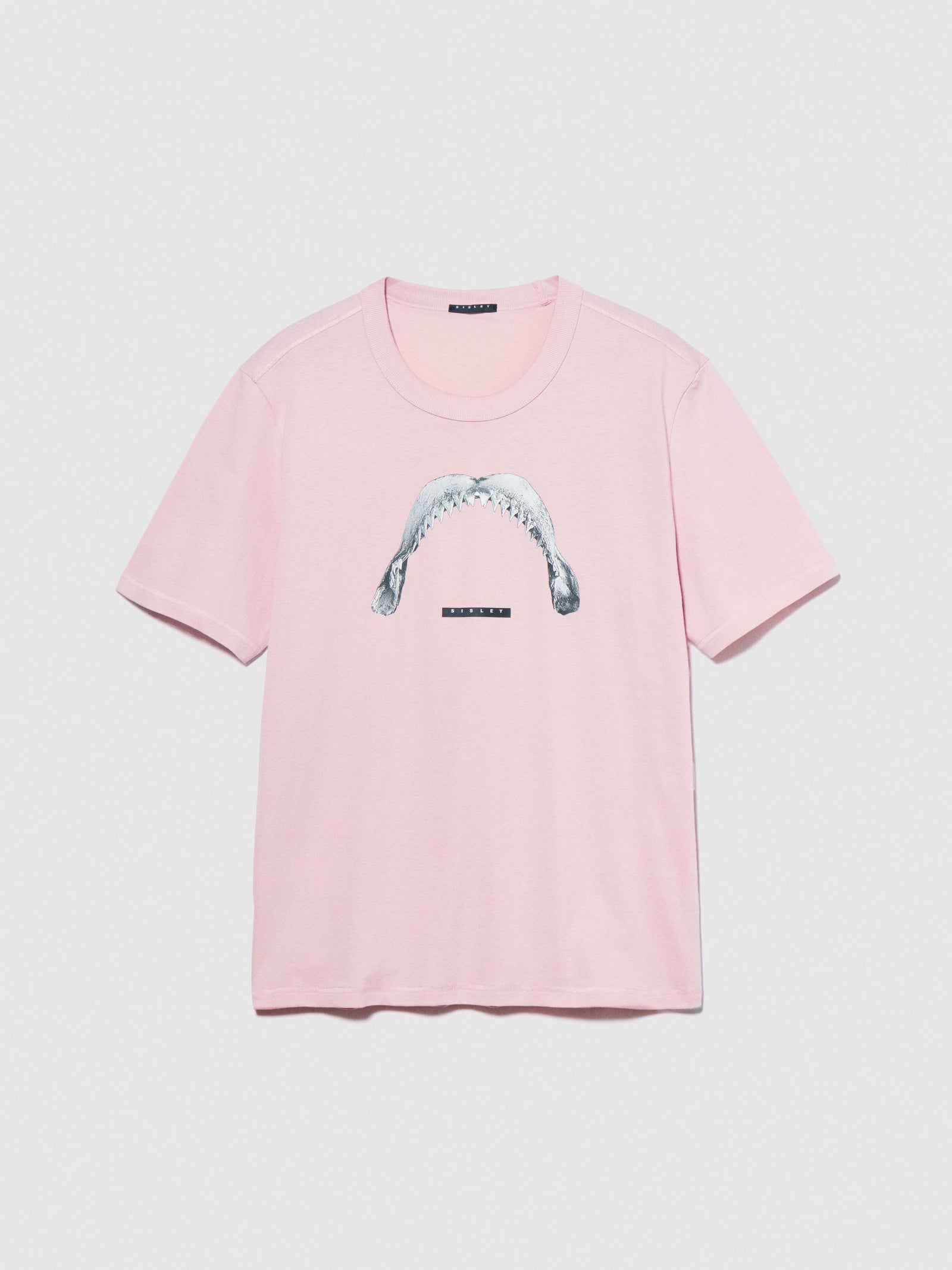 T-shirt regular fit con stampa da uomo rosa pastello | Sisley Outlet