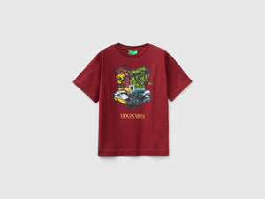 Maglietta Harry Potter manica corta